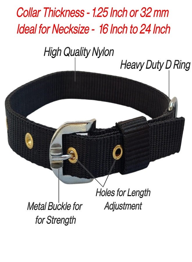 Petlicious & More® 1.25" Inch Thick Large Dog Collar with Dog Handle Chain I Collar Size 16-24 Inch I Handle Chain No. 6 Length 5 ft - Pack of Black Collar with Dog Handle Chain - Image 2